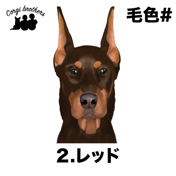 【 ドーベルマン 水彩画風 毛色2色 】 手帳 スマホケース 犬 うちの子 iPhone & Android 3枚目の画像