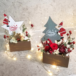 【クリスマスツリーに乗ったサンタ付】ミニ花壇アレンジメント 7枚目の画像