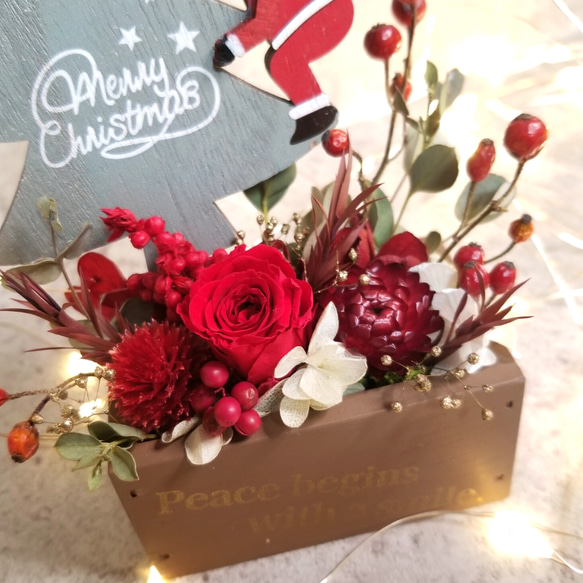 【クリスマスツリーに乗ったサンタ付】ミニ花壇アレンジメント 6枚目の画像