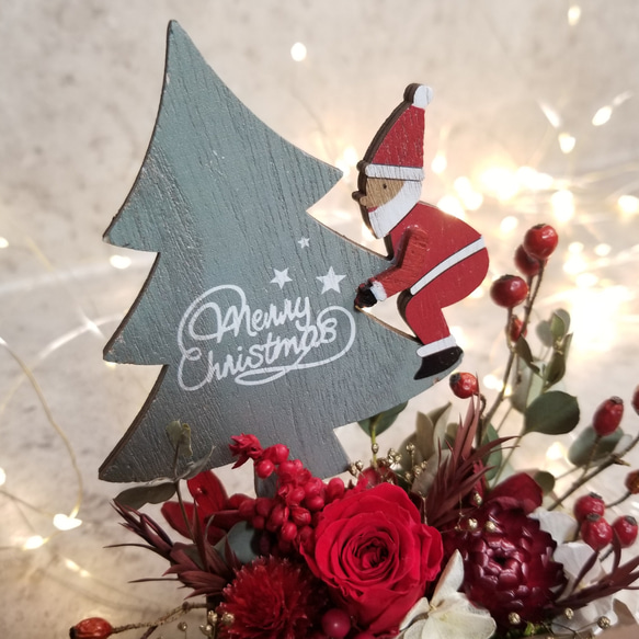 【クリスマスツリーに乗ったサンタ付】ミニ花壇アレンジメント 4枚目の画像