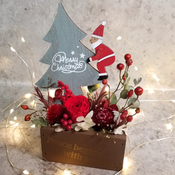 【クリスマスツリーに乗ったサンタ付】ミニ花壇アレンジメント 1枚目の画像