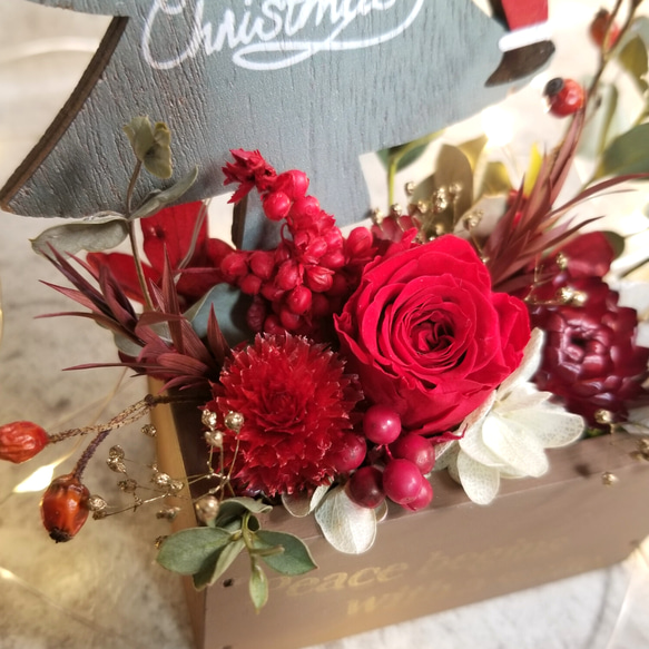 【クリスマスツリーに乗ったサンタ付】ミニ花壇アレンジメント 2枚目の画像