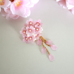 桜のポニーフック 1枚目の画像