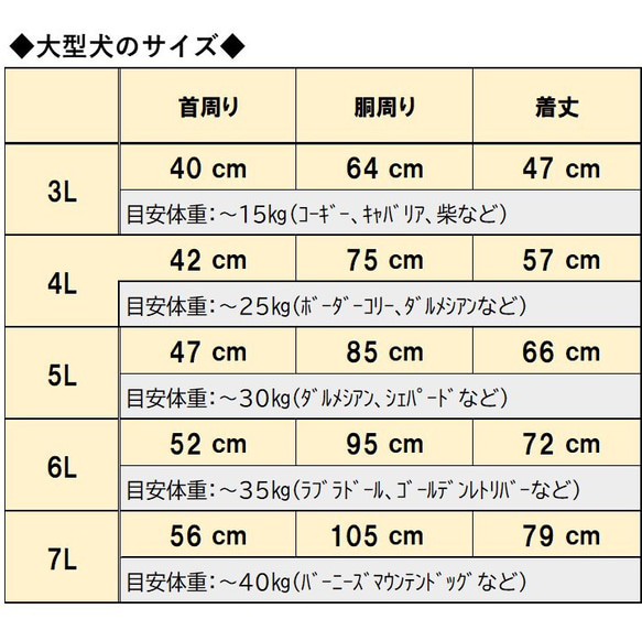  第15張的照片