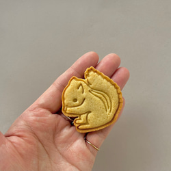【クッキー型】リス　動物 2枚目の画像