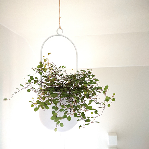 ハンギングフックセット　観葉植物　美品 tower ◎☆ 山崎実業 ウォールハンギンググリーンフック タワー