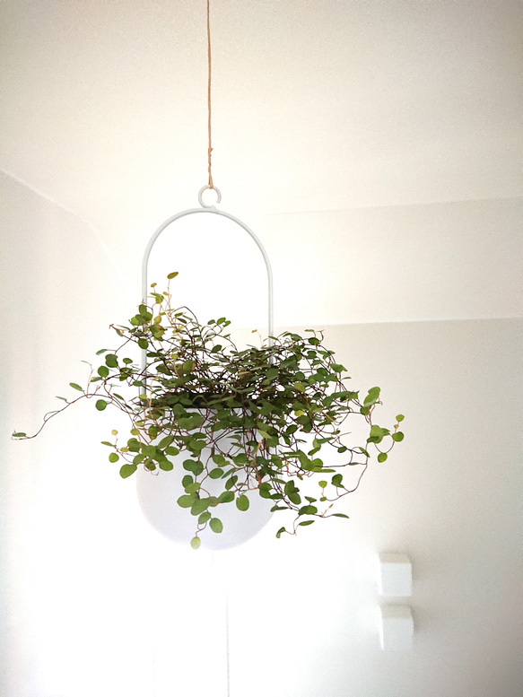 ○数量限定○新作○”ワイヤープランツ 軽量ハンギング鉢カバーセット