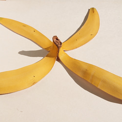 特別なバナナの革 1 2枚目の画像