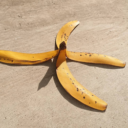 特別なバナナの革 2 1枚目の画像