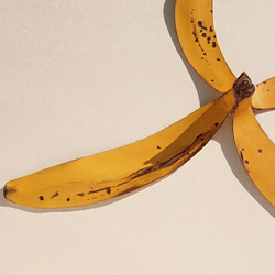 特別なバナナの革 2 2枚目の画像