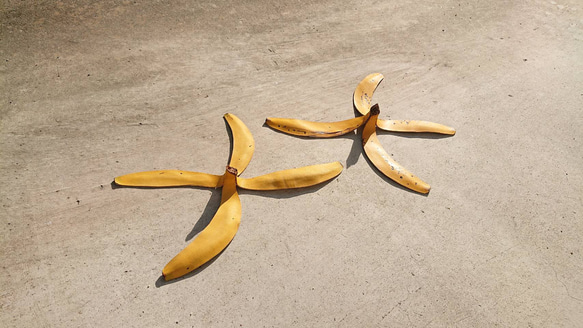 特別なバナナの革 2 6枚目の画像