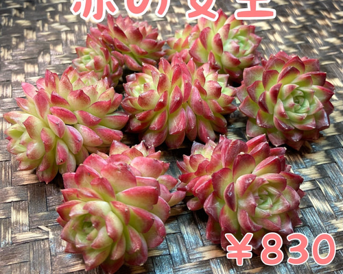 7caf3207077c03188ddec78c215c57