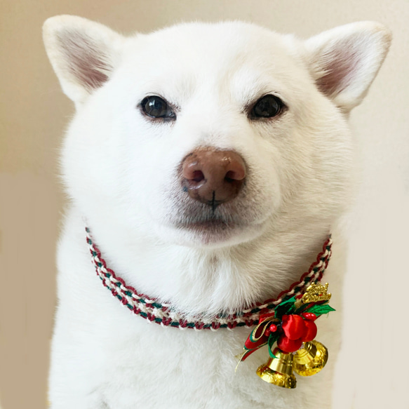 クリスマスチョーカー【ベル付】大型犬用 ★セミオーダー★ 3枚目の画像