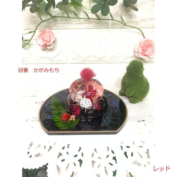 鏡餅奶油“顏色紅色 x 透明底” Herbarium Kagamimochi 新年裝飾品 Kagamimochi Herbari 第1張的照片