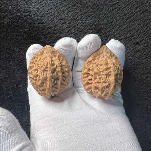 胡桃ちの 初版完結セット(保存用) 胡桃ちの 初版完結セット(保存用) 胡桃ちの 初版完結セット(保存用