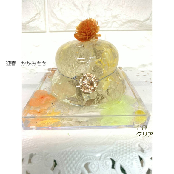 Kagami Mochi Cream“顏色綠色x基座半月Bon Gold”Herbarium Kagami Mochi新年裝飾K 第9張的照片
