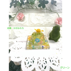 Kagami Mochi Cream“顏色綠色x基座半月Bon Gold”Herbarium Kagami Mochi新年裝飾K 第4張的照片