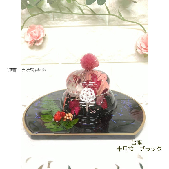 Kagami Mochi Cream“顏色綠色x基座半月Bon Gold”Herbarium Kagami Mochi新年裝飾K 第8張的照片