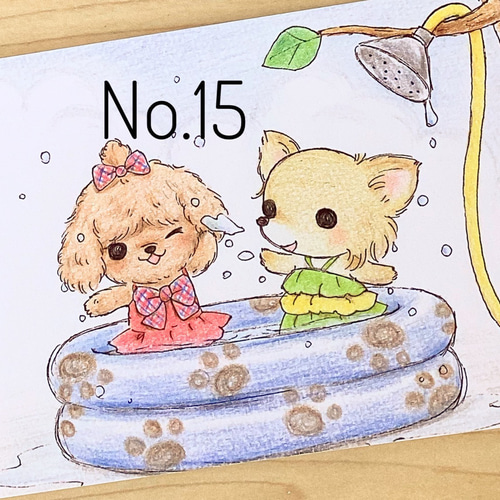 春夏秋冬チワワちゃん イラストポストカード 10枚セット