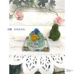 鏡餅奶油“顏色藍色 x 透明底” Herbarium Kagamimochi 新年裝飾品 Kagamimochi Herbari 第3張的照片