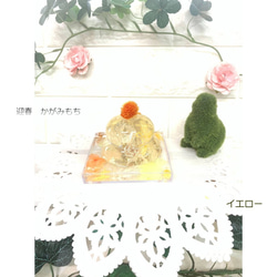 鏡餅奶油“顏色藍色 x 透明底” Herbarium Kagamimochi 新年裝飾品 Kagamimochi Herbari 第2張的照片