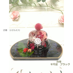 鏡餅奶油“顏色藍色 x 透明底” Herbarium Kagamimochi 新年裝飾品 Kagamimochi Herbari 第8張的照片