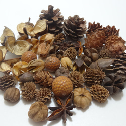 自然素材エコクラフト 木の実 no,599 ナッツミックス 約9種類アソート
