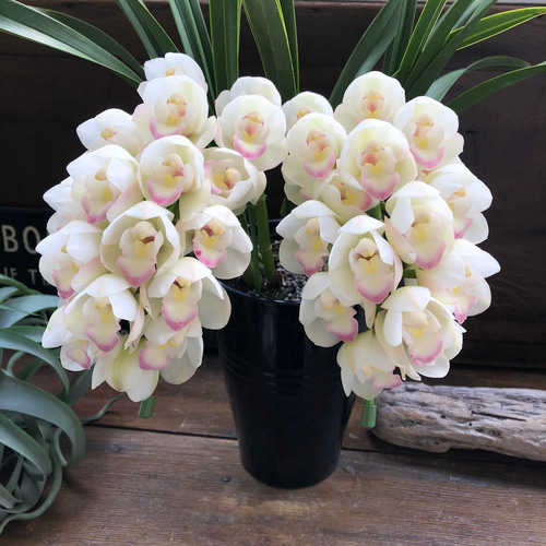 シンビジウム アートフラワー クリーム色 月あかり♡美しい♡シンビジューム♡観葉植物♡インテリア アート