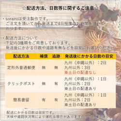 清楚な淡水パールの一粒イヤリング｜フォーマルからカジュアルまで幅広く使える♪ 8枚目の画像