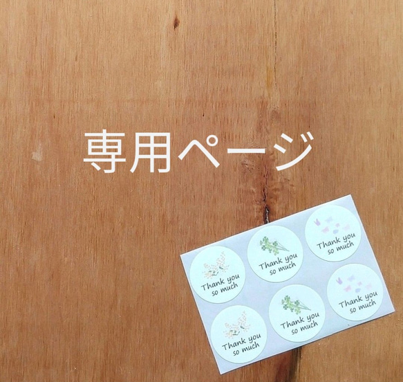 専用ページ 1枚目の画像