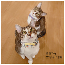 猫 犬 首輪 フリルスタイ リバティプリント × Nancy Ann パープル ラッピング無料 17枚目の画像