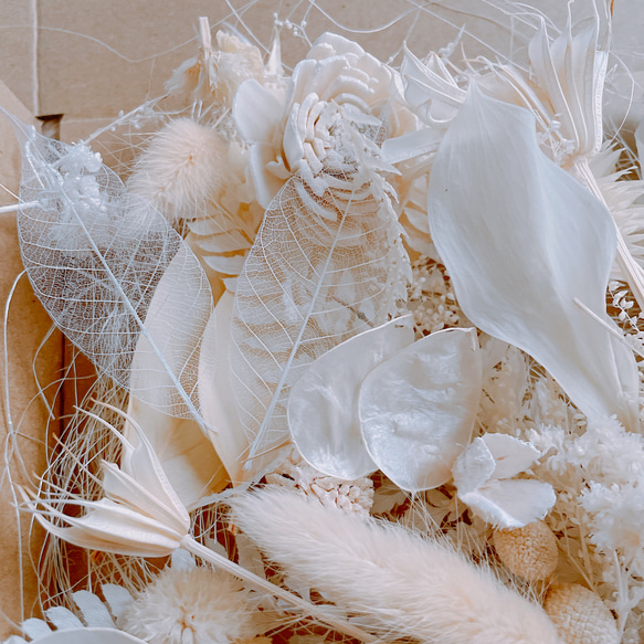 白いドライフラワー素材　花材セット 3枚目の画像