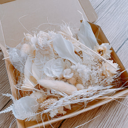 ユーカリ5種類 フレッシュ ドライフラワー用 ドライフラワー oniwacco