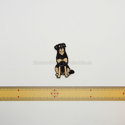 ロットワイラー　刺繍ワッペン　犬ワッペン　ボストンテリア 2枚目の画像