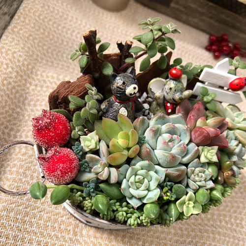 このまま飾れます】仲良し猫さんゾウさん♡多肉植物寄せ植え♡ 多肉