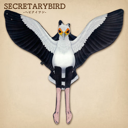 MATAGI：ヘビクイワシ/SECRETARYBIRD 1枚目の画像