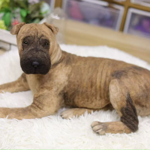 オーダーメイド ペット】羊毛 フェルト 犬 羊毛フェルト コーギー犬