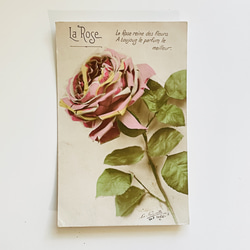 一套 5 張古董明信片 rose rose flower（照片/插圖）| 法國 第6張的照片