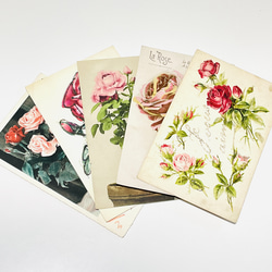 アンティークポストカード5種セット 薔薇 バラの花（写真・イラスト）｜フランス