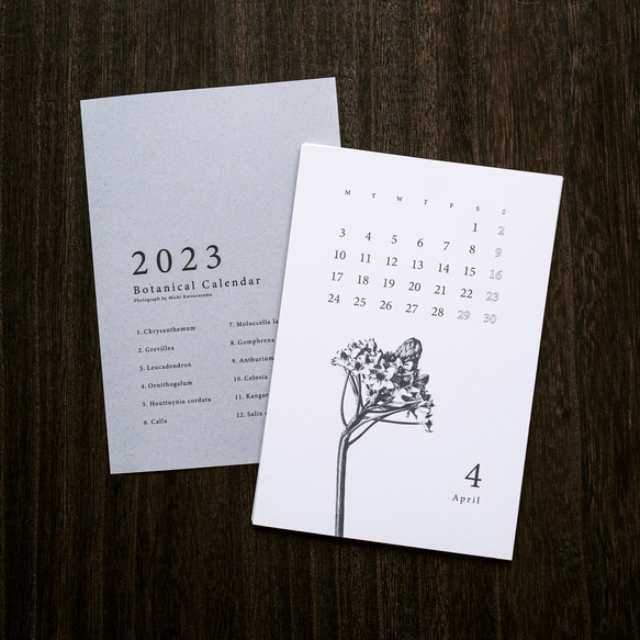 2023年 ボタニカルカレンダー【ケースなし】 1枚目の画像