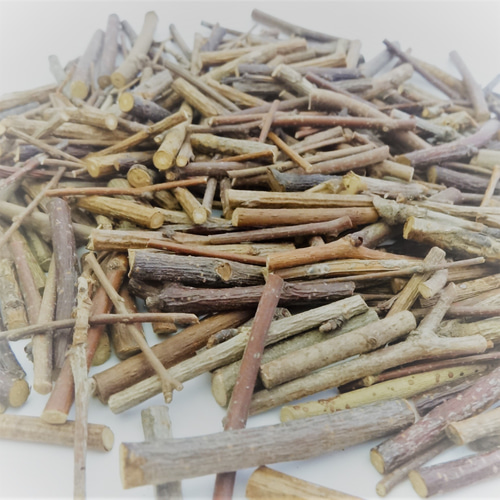 自然素材エコクラフト 小枝 no,620 広葉樹の小枝 細 木材・板 eco 通販