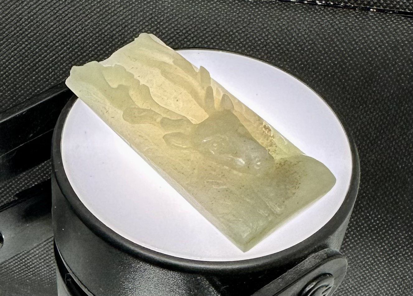 トナカイ　鹿