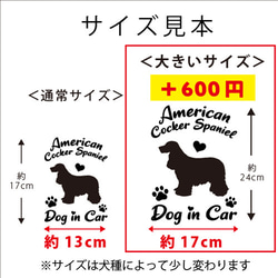 アドニス様専用ページです。 4枚目の画像