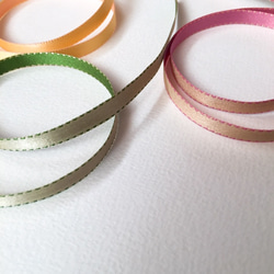 フランス製】リバーシブルリボンBEL-6608(1m)カラー・サイズを選択頂け