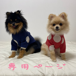 犬服‼︎フルーツ柄肩紐リボンキャミソール レモン☆XS.S.M.DXS.DS.DM