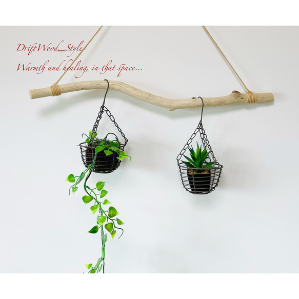 流木インテリア うねる枝の天然流木のハンガー フック無し 流木ハンガー ハンギング ウォールデコ 北欧 No.149 1枚目の画像