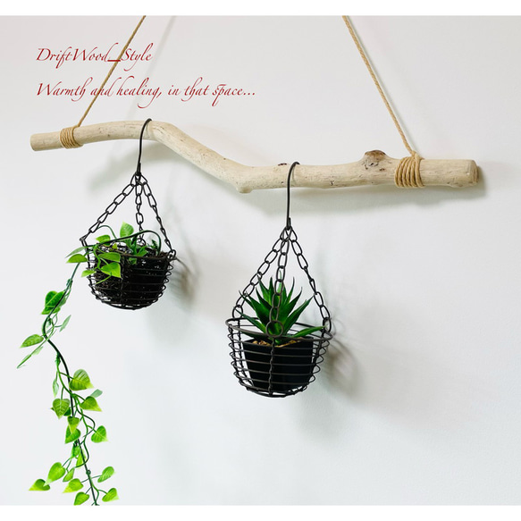 流木インテリア うねる枝の天然流木のハンガー フック無し 流木ハンガー ハンギング ウォールデコ 北欧 No.149 3枚目の画像