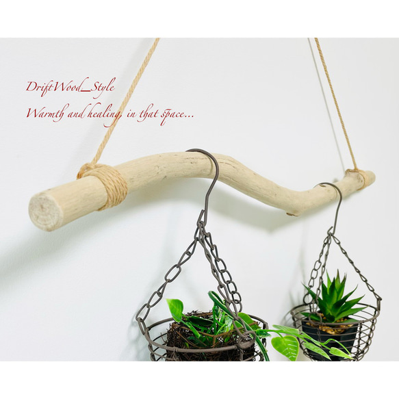 流木インテリア うねる枝の天然流木のハンガー フック無し 流木ハンガー ハンギング ウォールデコ 北欧 No.149 4枚目の画像