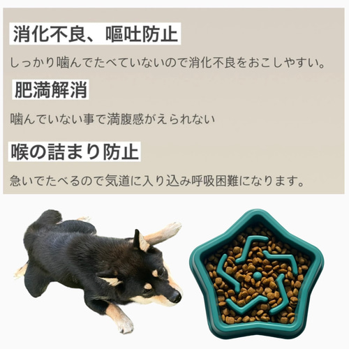 チワワ ペットフードボウル ペット食器 劣悪