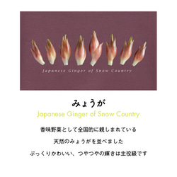 ［着る山菜］ビッグシルエット みょうがパーカー（メルロー） 4枚目の画像